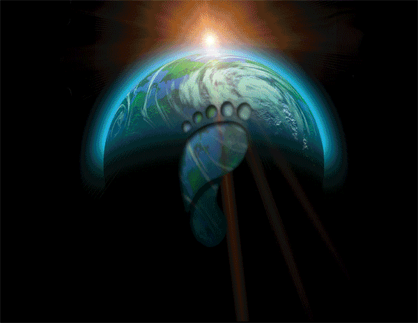 Overview: Carbon footprint ideas